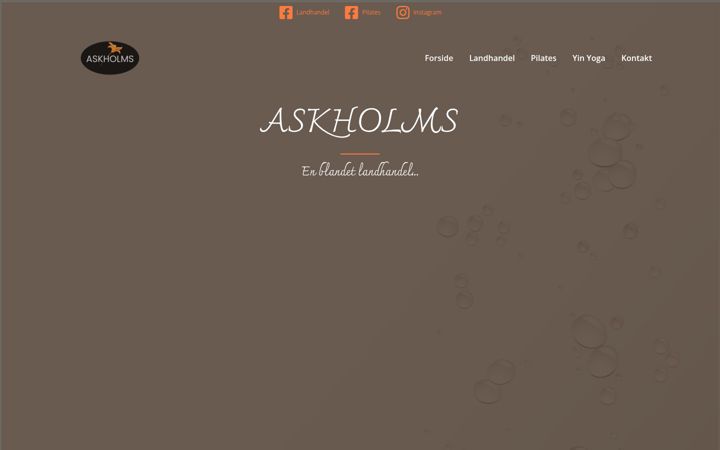 Screenshot of askholms.com
