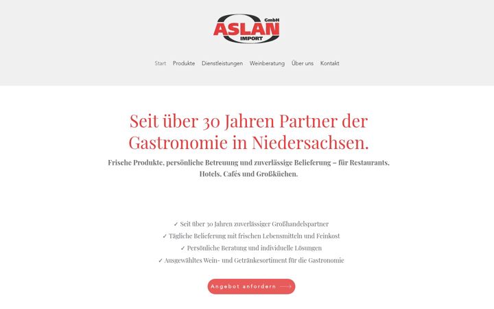 Screenshot of aslan-import.de