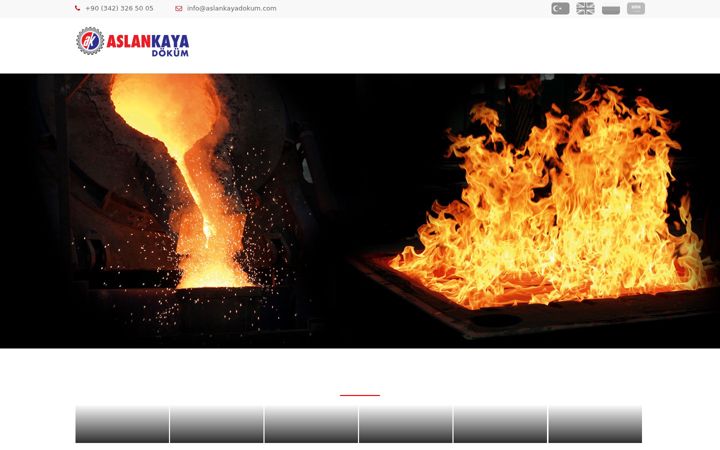 Screenshot of aslankayadokum.com