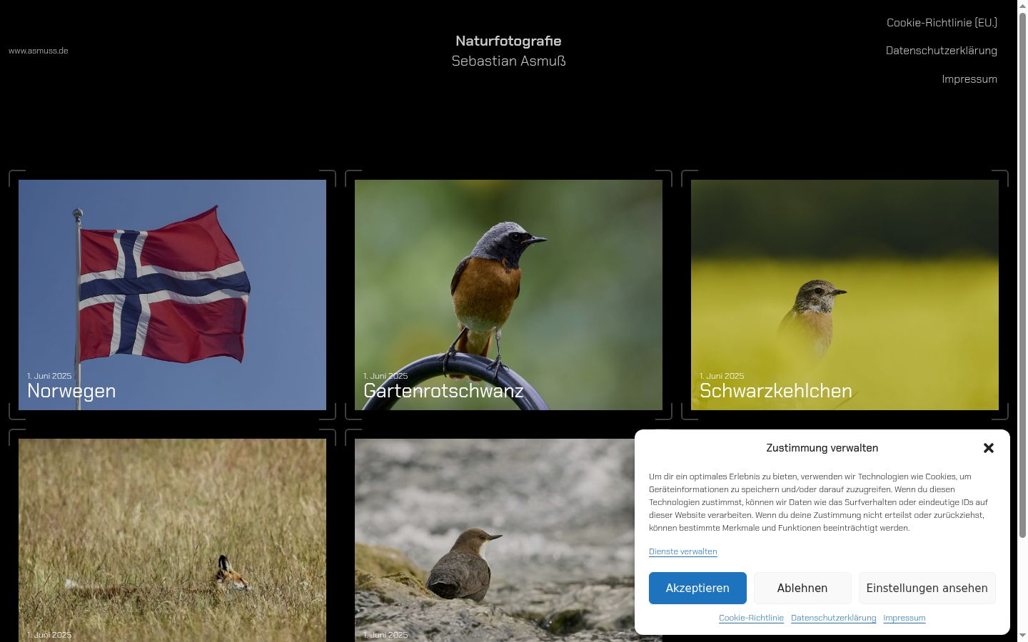 Sutikimo reklamjuostės, rodytos prieš bet kokią sąveiką, ekrano kopija