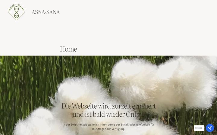Screenshot of asna-sana.ch