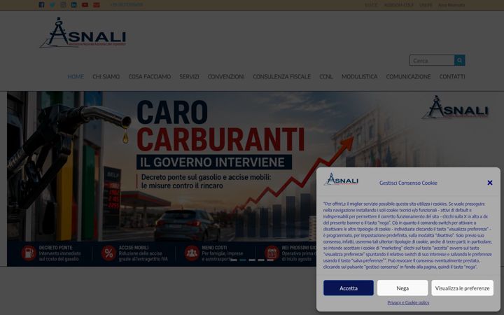 Screenshot of asnali.org