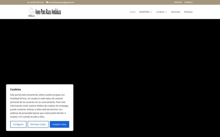 Screenshot of asnopurarazaandaluza.com