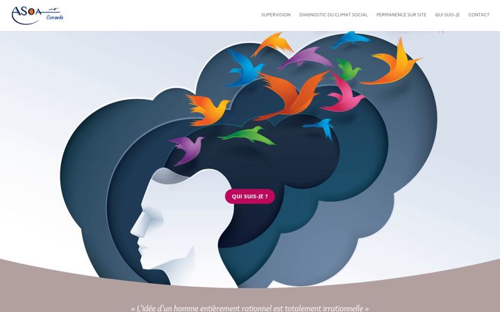 Screenshot of asoa-conseils.fr