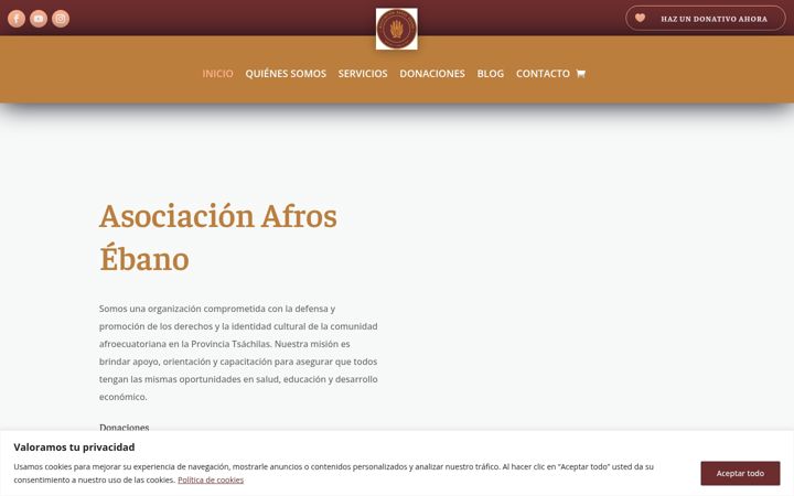 Screenshot of asoafrosebano.com