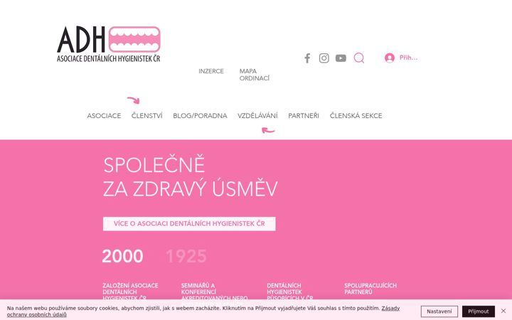 Capture d'écran de asociacedh.cz