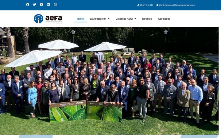 Screenshot of asociacionaefa.es