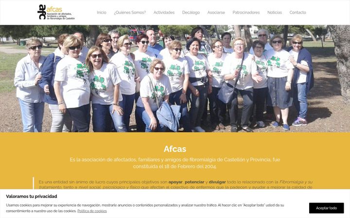 Screenshot of asociacionafcas.es