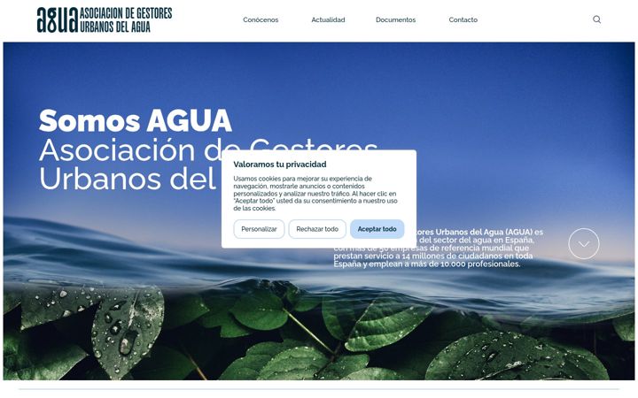 Screenshot of asociacionagua.com