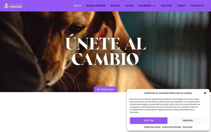 Screenshot of asociacionancora.org