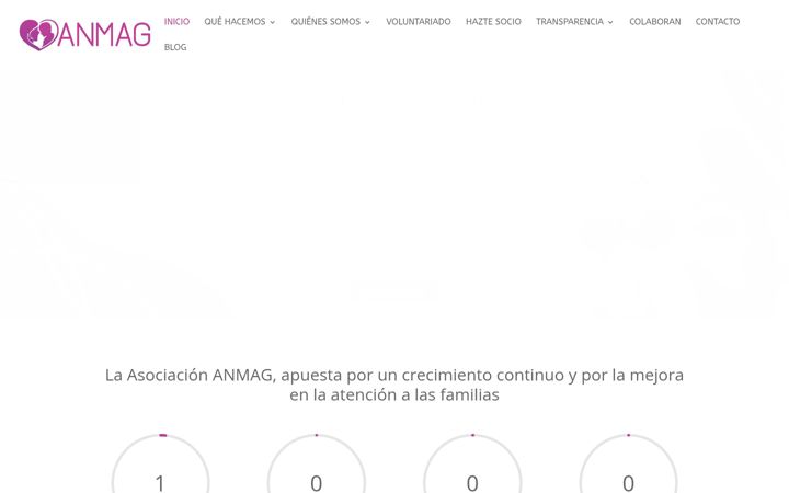 Screenshot of asociacionanmag.com