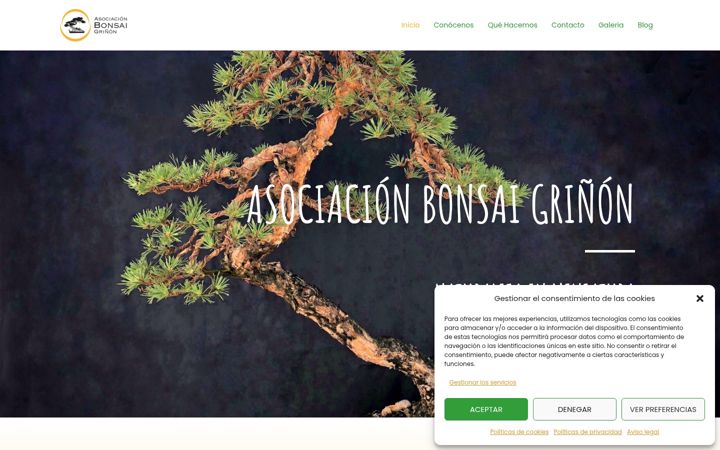Captură de ecran a asociacionbonsaigrinon.com