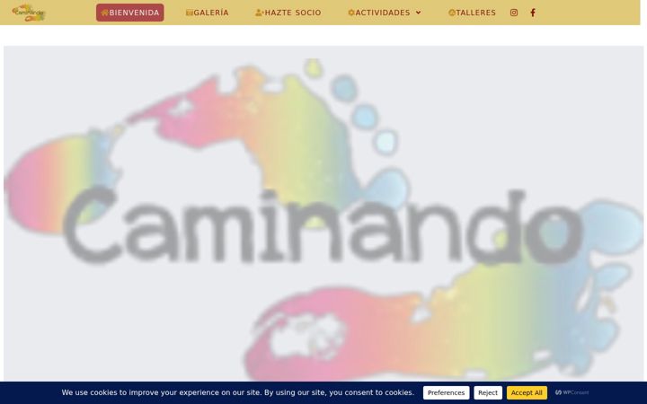 Screenshot of asociacioncaminando.org
