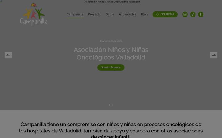 Screenshot of asociacioncampanilla.es
