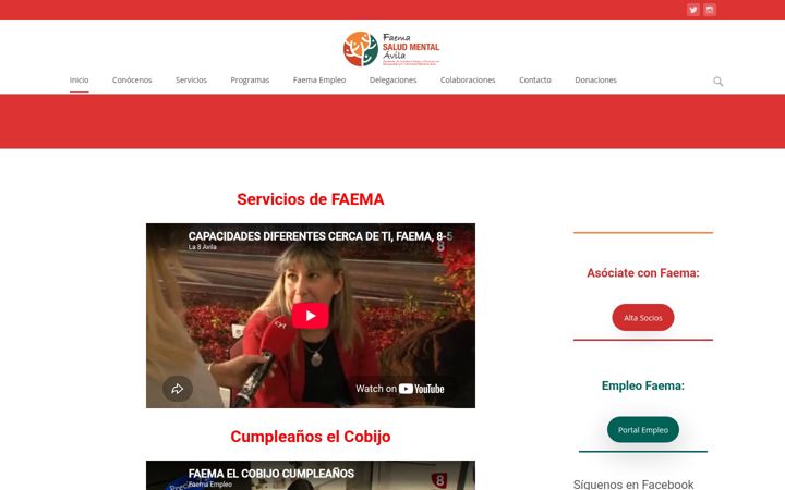 Screenshot of asociacionfaema.org