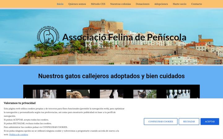 Screenshot of asociacionfelinapeniscola.org