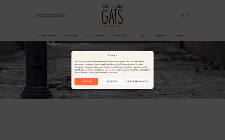 Screenshot of asociaciongats.org