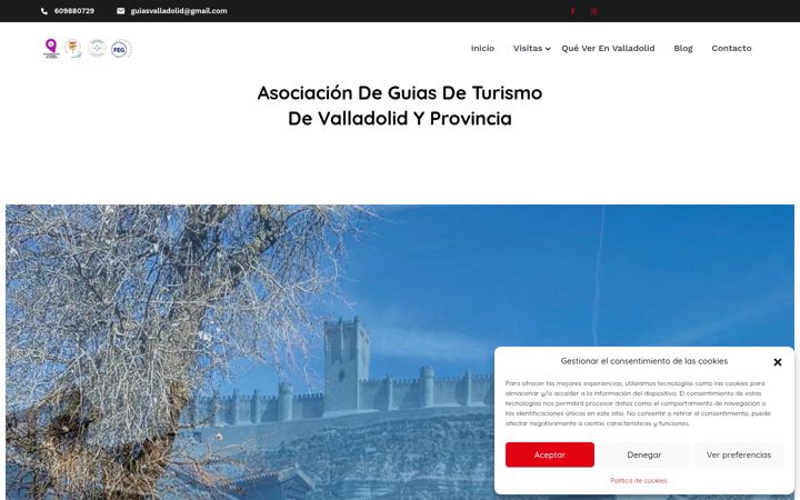 Skærmbillede af asociacionguiasoficialesdeturismodevalladolidycyl.es