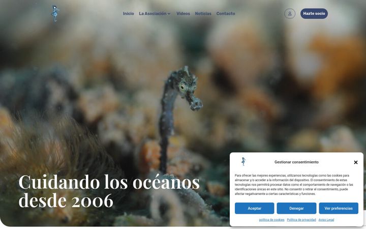 Screenshot of asociacionhippocampus.com