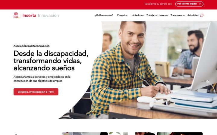 Screenshot ta' asociacioninsertainnovacion.es