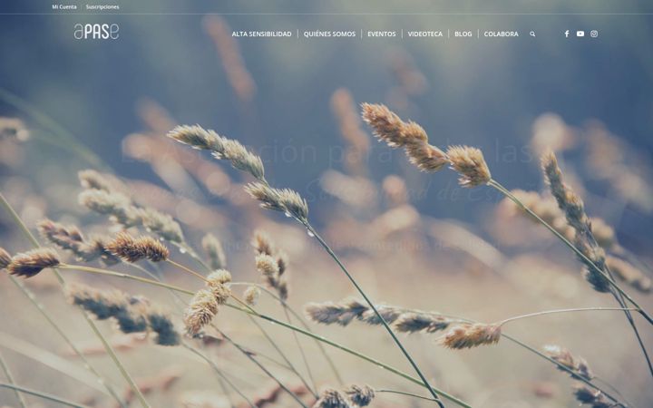 Skjámynd af asociacionpas.org