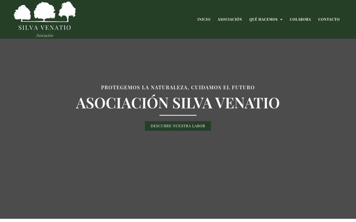 Screenshot of asociacionsilvavenatio.com