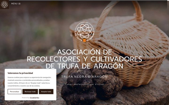 Screenshot of asociaciontrufaaragon.es