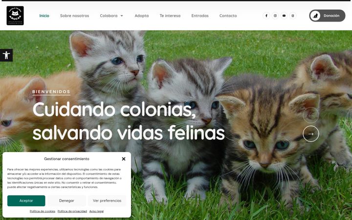 Screenshot of asociaciontutelafelinaarucas.net