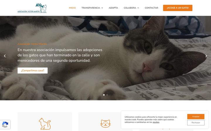 Screenshot of asociacionvictormartin.org