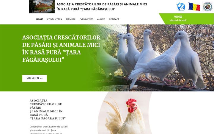 Screenshot of asociatiatarafagarasului.ro