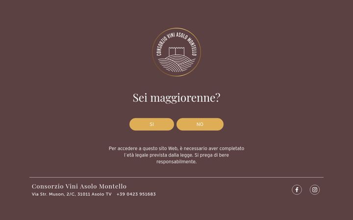 Screenshot von asolomontello.it
