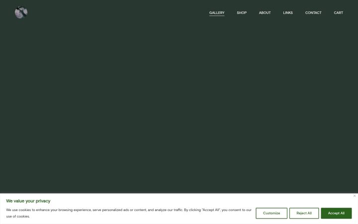 Screenshot of asoloveva.com