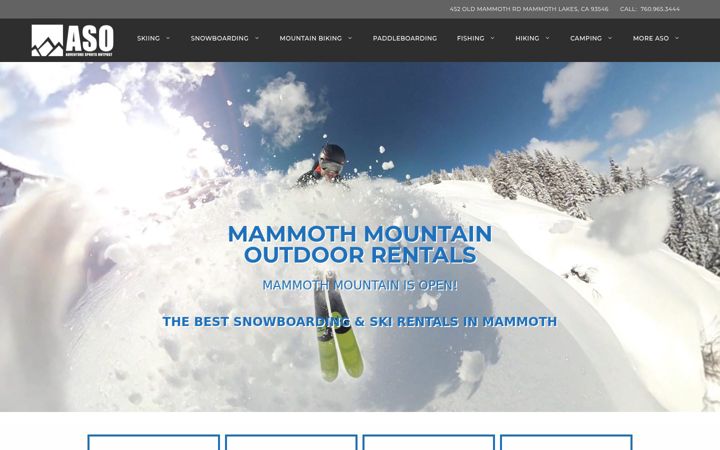Screenshot of asomammoth.com