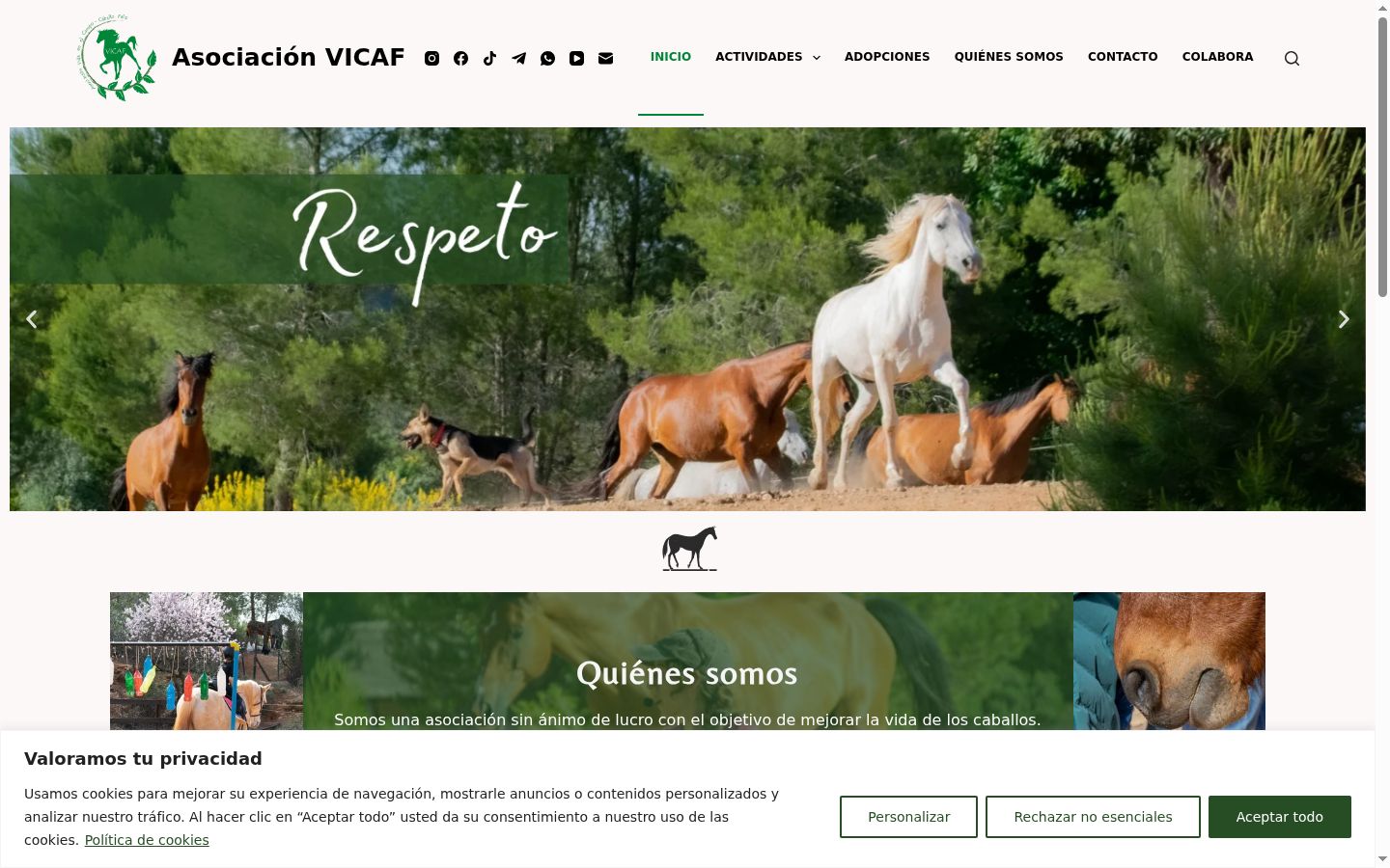 Captura de pantalla del banner de consentimiento mostrado antes de cualquier interacción