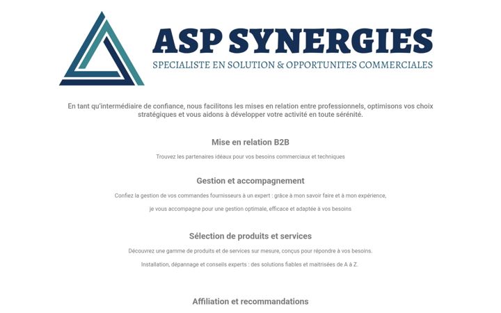 Screenshot of asp-synergies.com