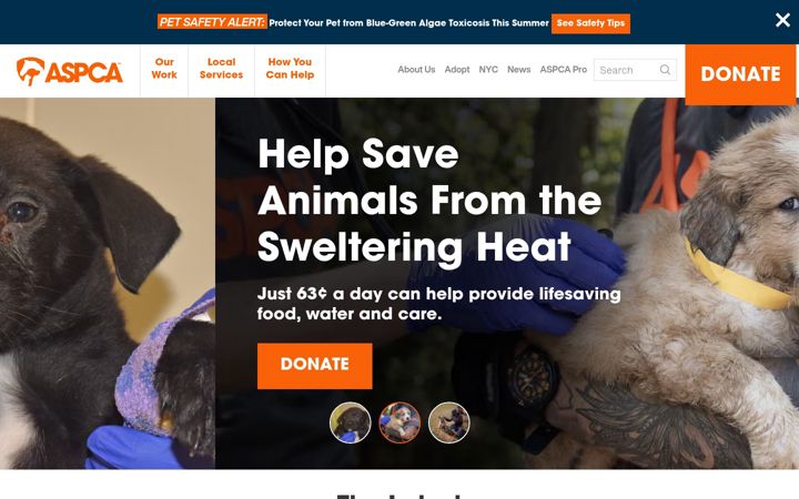 Screenshot ta' aspca.org