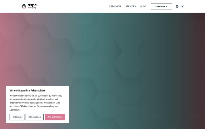 Screenshot of aspe-marketing.de
