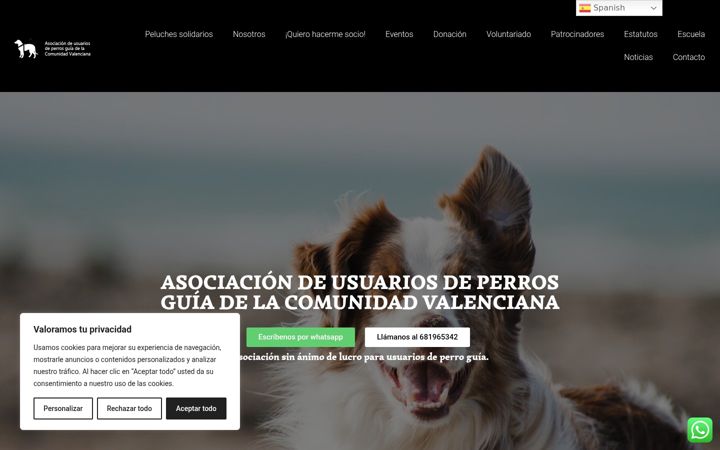 Screenshot van aspeguicv.org