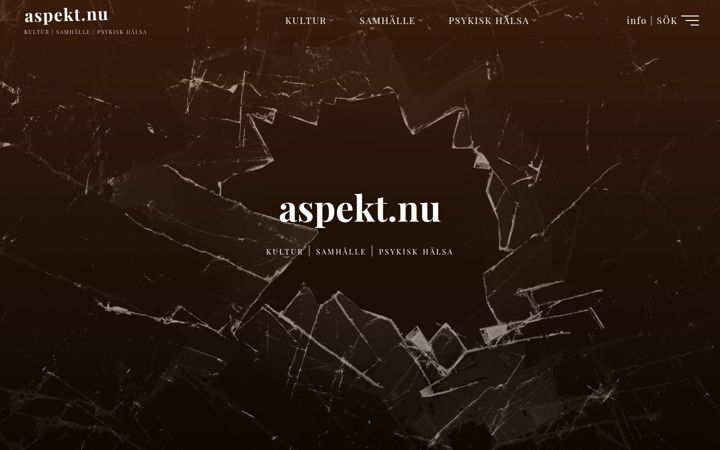 Screenshot of aspekt.nu