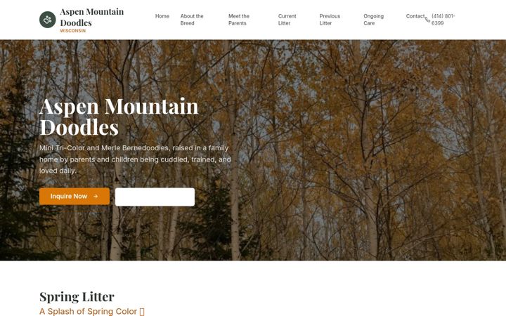Screenshot of aspenmountaindoodleswi.com