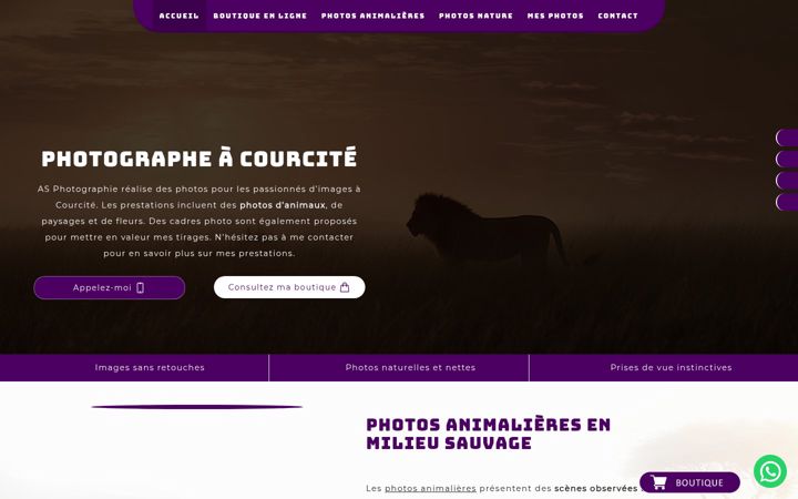 Screenshot of asphotographie53.fr