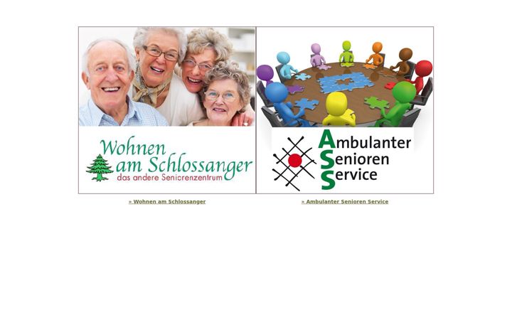 Screenshot di ass-hksbr.de