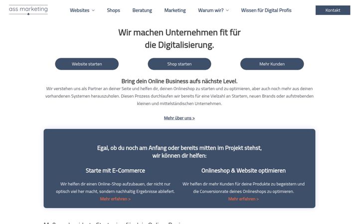 Screenshot of ass-marketing.de