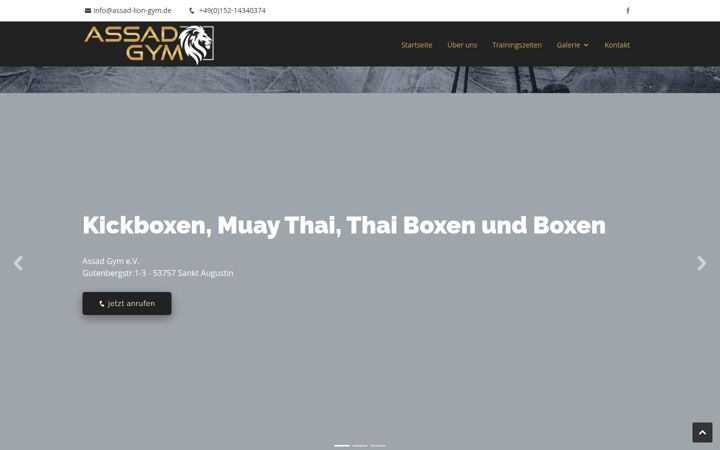Screenshot of assad-lion-gym.de
