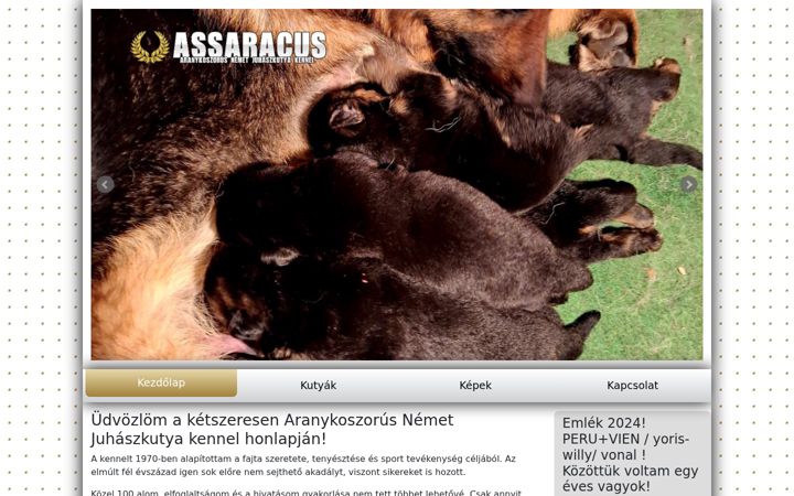 Screenshot of assaracus.hu