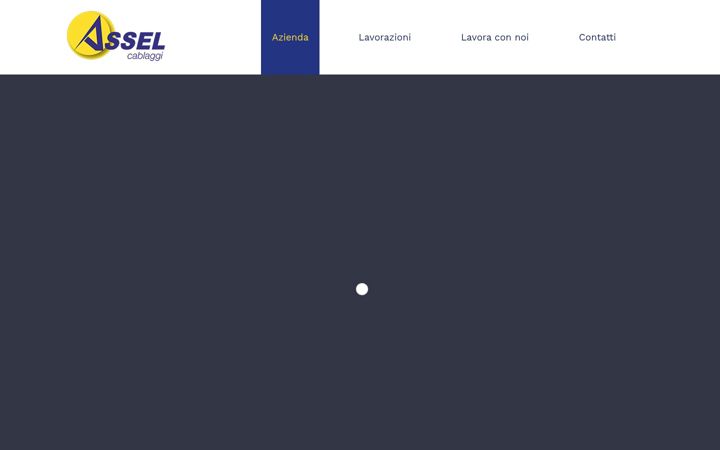 asselcablaggi.com