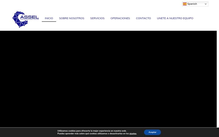 Screenshot of asselgroup.com