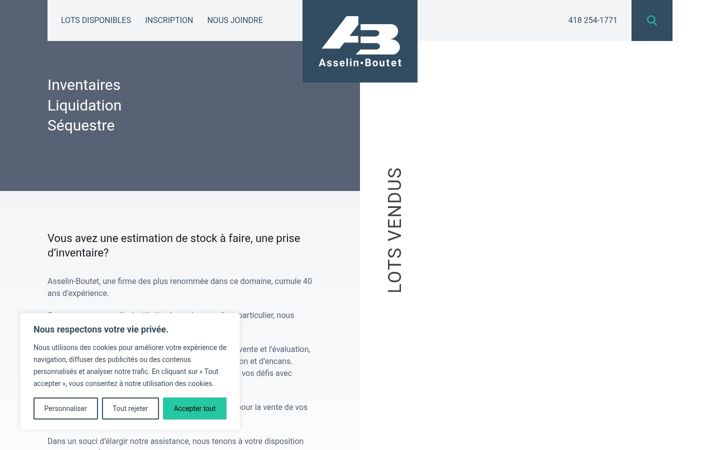 Screenshot ta' asselinboutet.com