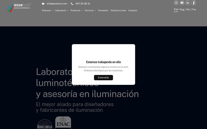 Screenshot of asselum.com