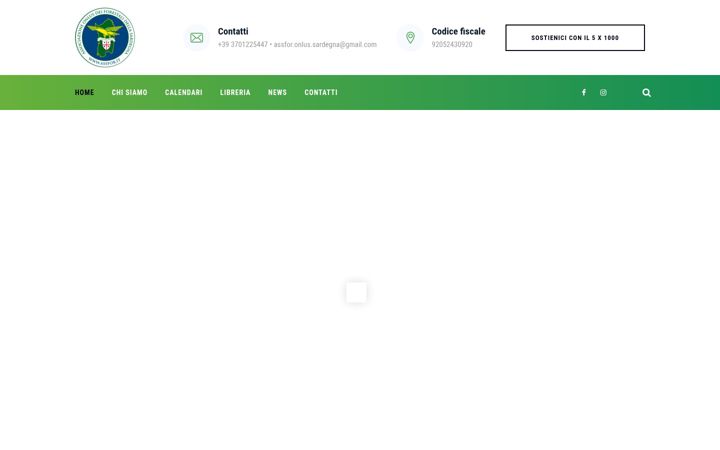 Screenshot ta' assforonlus.it
